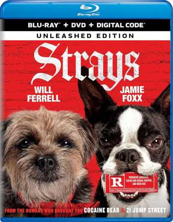 Download Strays 2023 BluRay Dual Audio [Hindi -Eng] 1080p 720p 480p HEVC